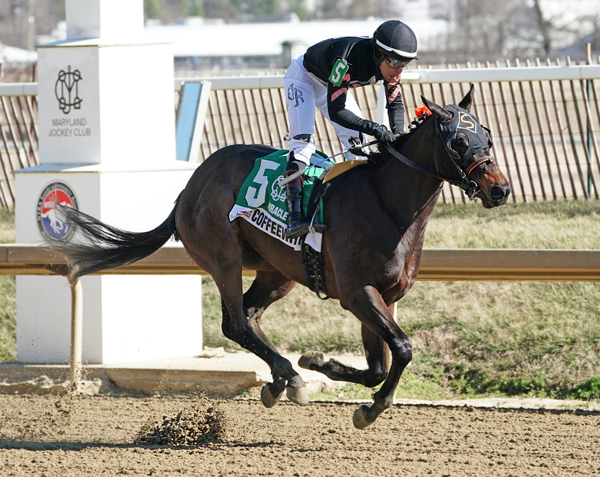 Winter Spectacular - Maryland Jockey Club