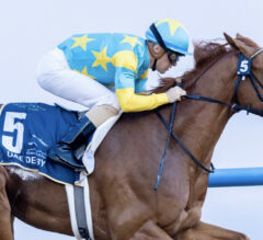 2023 UAE Derby Replay | Derma Sotogake Cruises To Lengthy Win; Will Enter Kentucky Derby