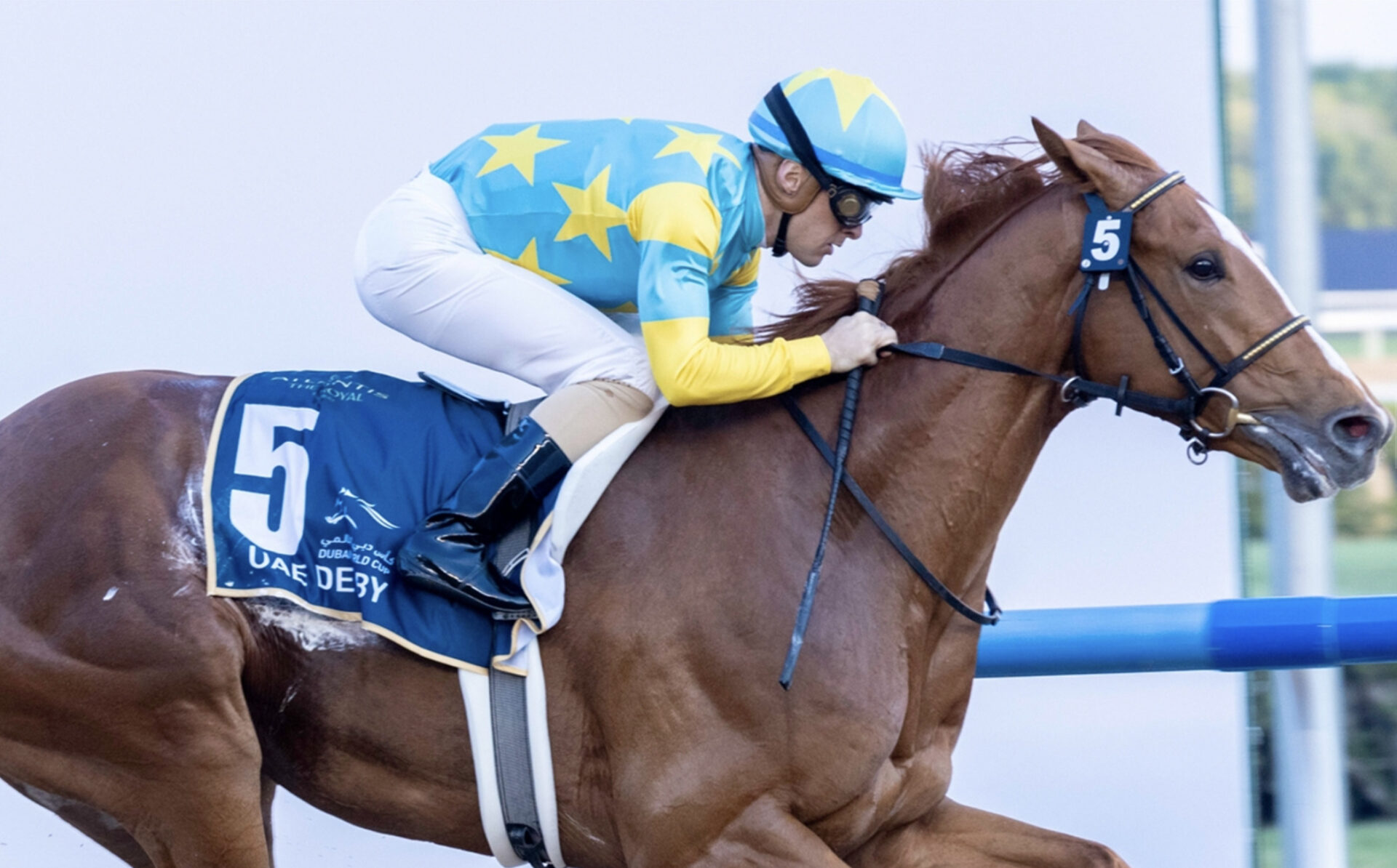 2023 UAE Derby Replay Derma Sotogake Cruises To Lengthy Win; Will