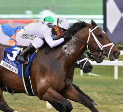 Ft. Lauderdale Stakes Picks and Preview 2024