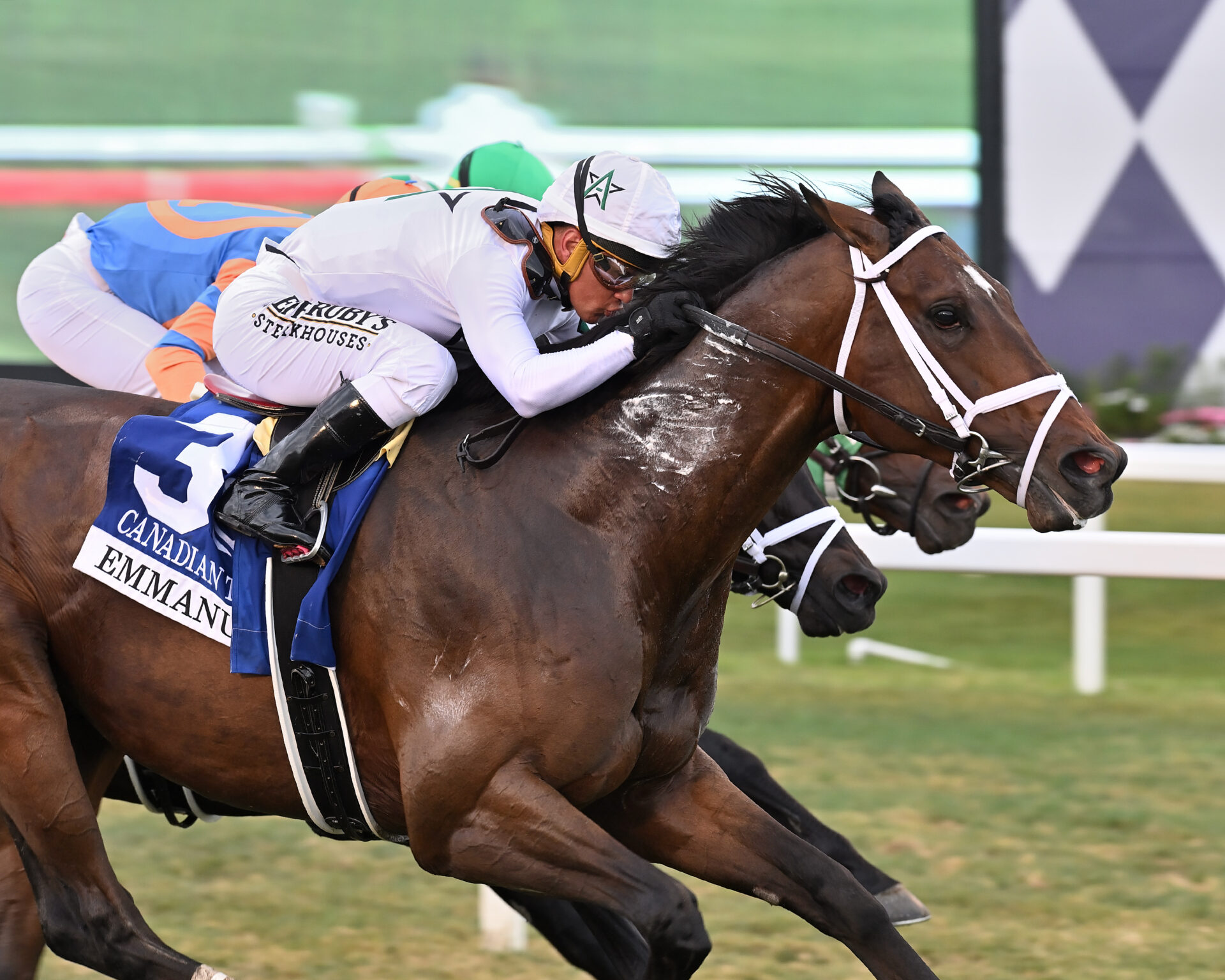 Ft. Lauderdale Stakes Picks and Preview 2024 – Racing Dudes