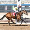 2023 Sunland Park Oaks Replay | Flying Connection Leads Every Step In Kentucky Oaks Prep