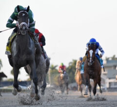 Only 1 Of These 3 Horses Will Win The 2023 Kentucky Derby | Ranking Top Contenders