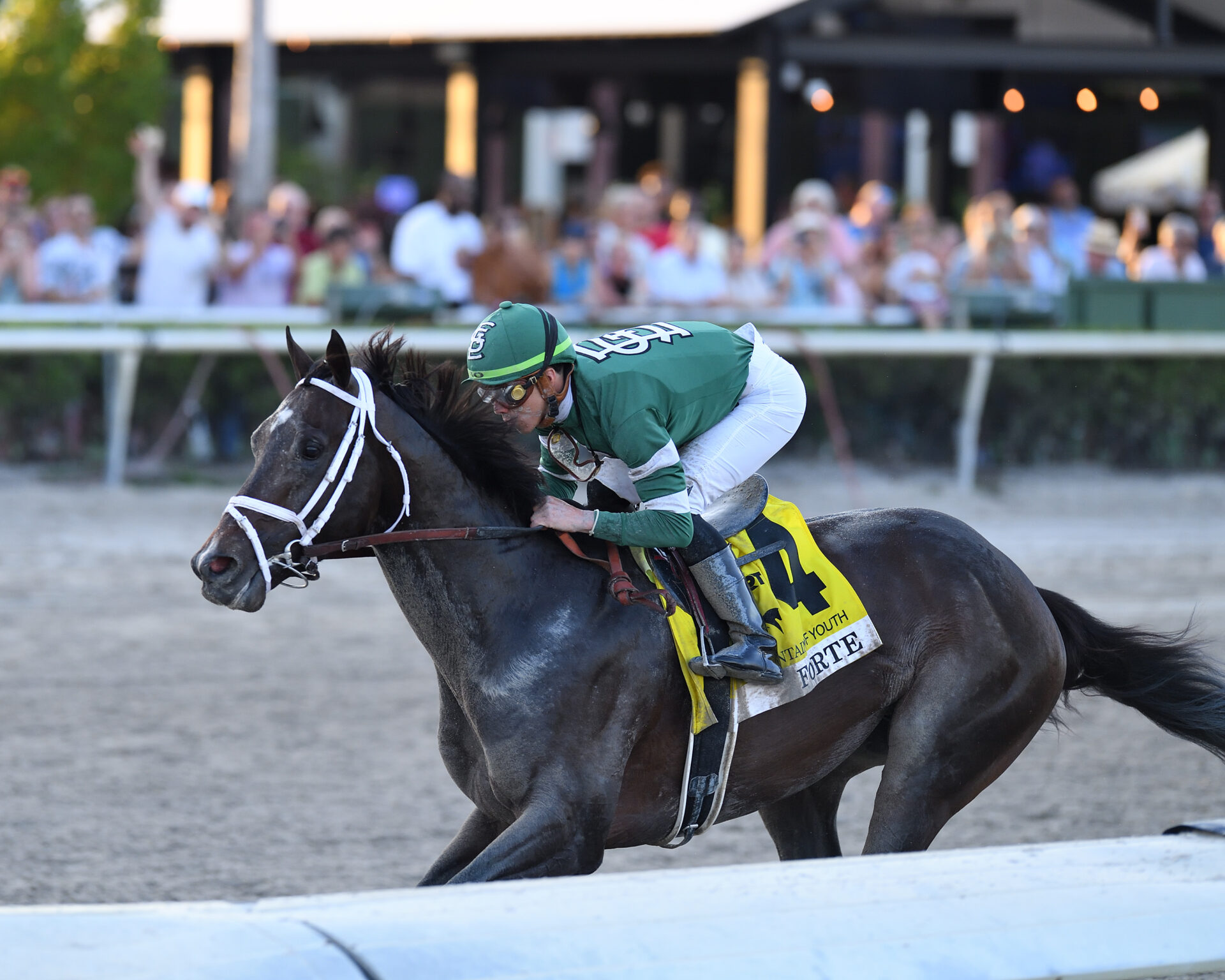 2023 Kentucky Derby Rankings 3/6/23 Forte Shows Class In Fountain Of