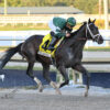 2023 Florida Derby Preview & FREE Picks | Forte Too Tough To Beat In Final Kentucky Derby Prep?