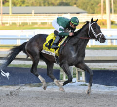 2023 Fountain Of Youth Stakes Replay | Forte Picks Up Where He Left Off In Kentucky Derby Prep