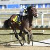 2023 Private Terms Stakes Replay | Hayes Strike Earns Big Score At Laurel; Blue Grass Next
