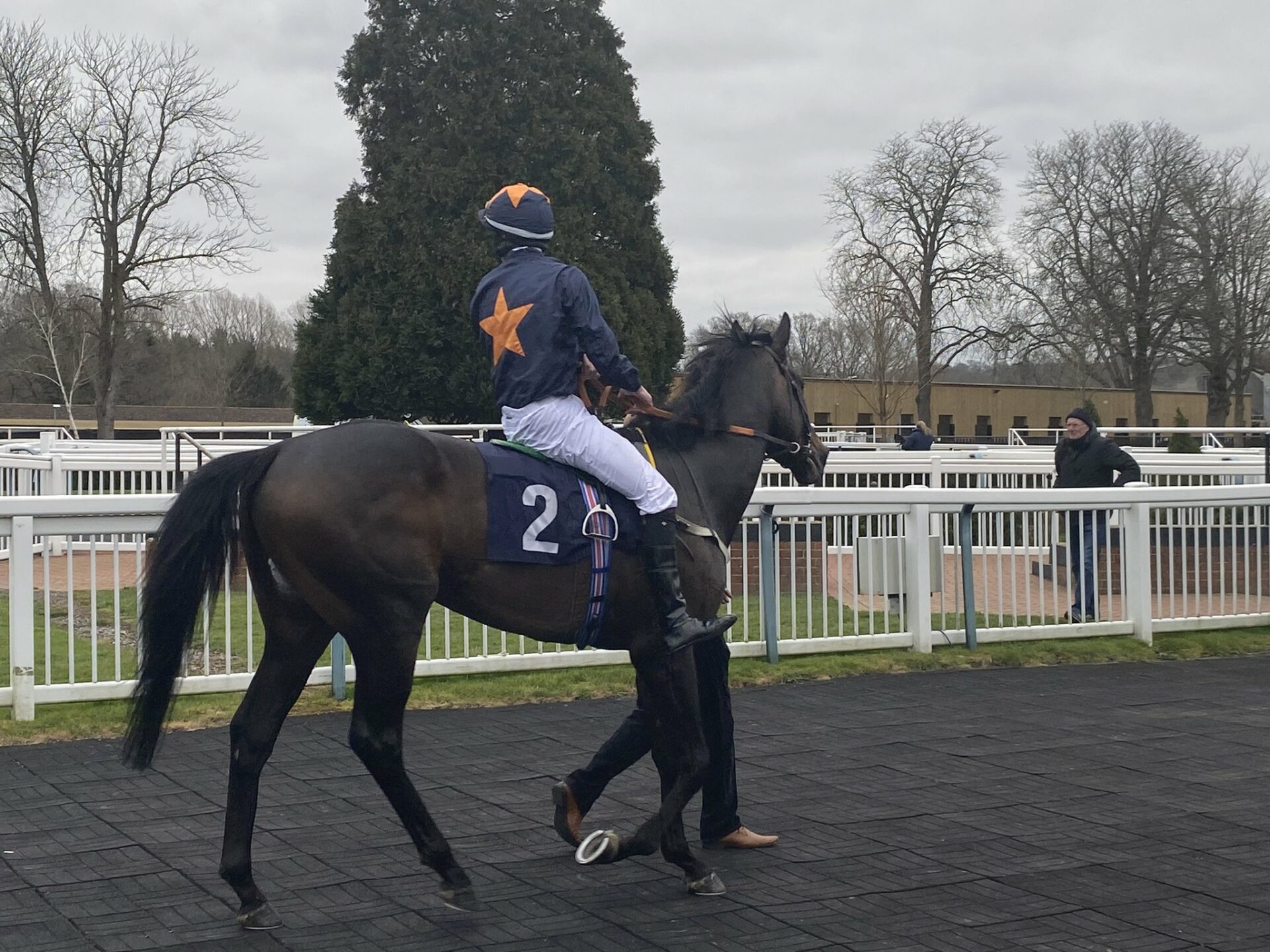 2023 Cardinal Condition Stakes Preview & FREE Picks Unbeaten Iconic