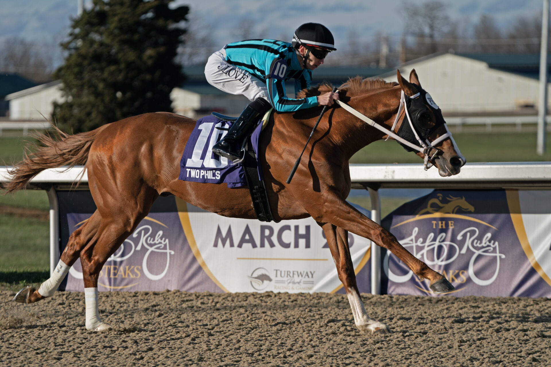 Top 3 Long Shots In The 2023 Kentucky Derby Why These Horses Can Help