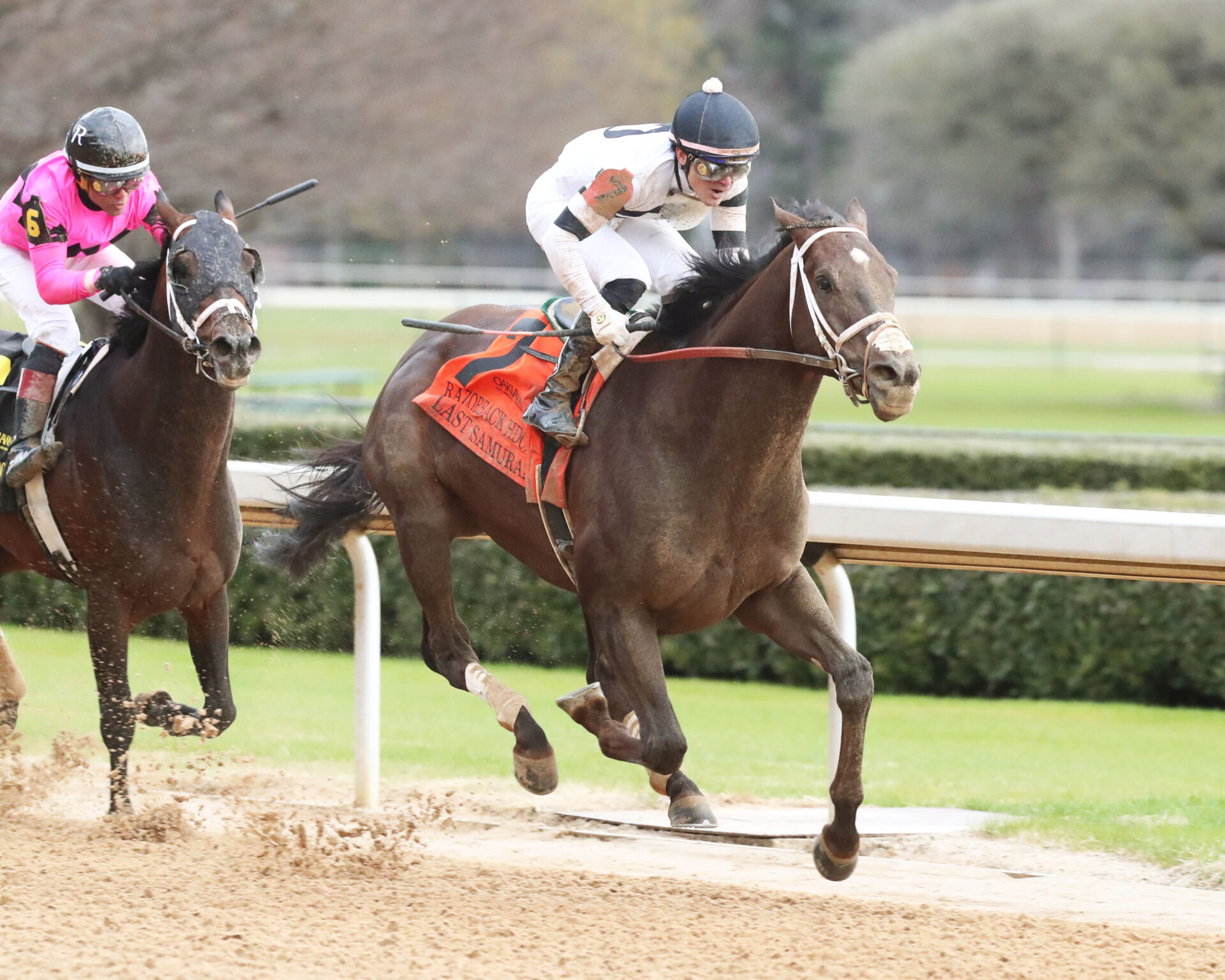 Razor Back Racing DWBS 139: Oaklawn Handicap PICKS and PREVIEW - Racing Dudes