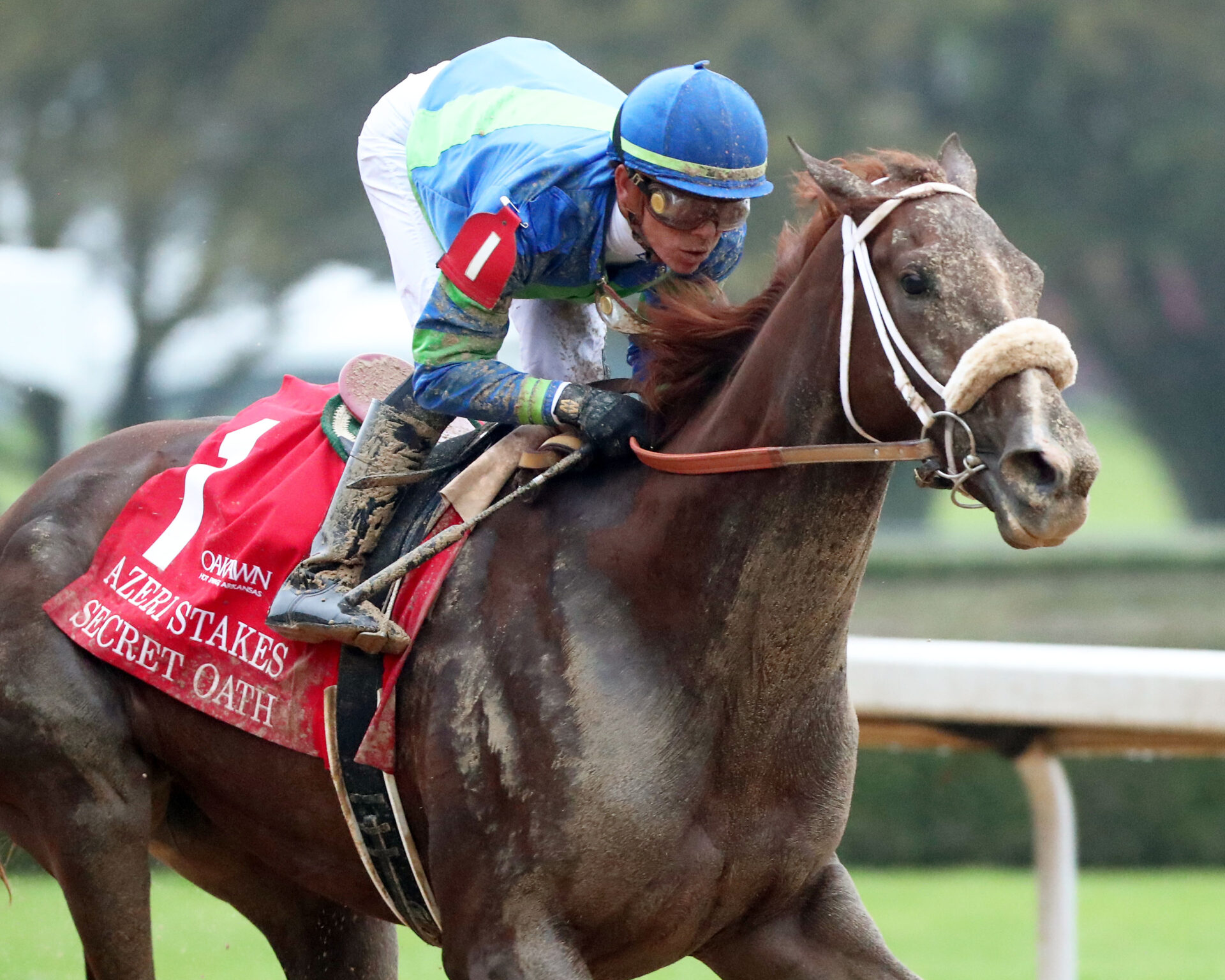 2023-apple-blossom-handicap-preview-free-picks-secret-oath