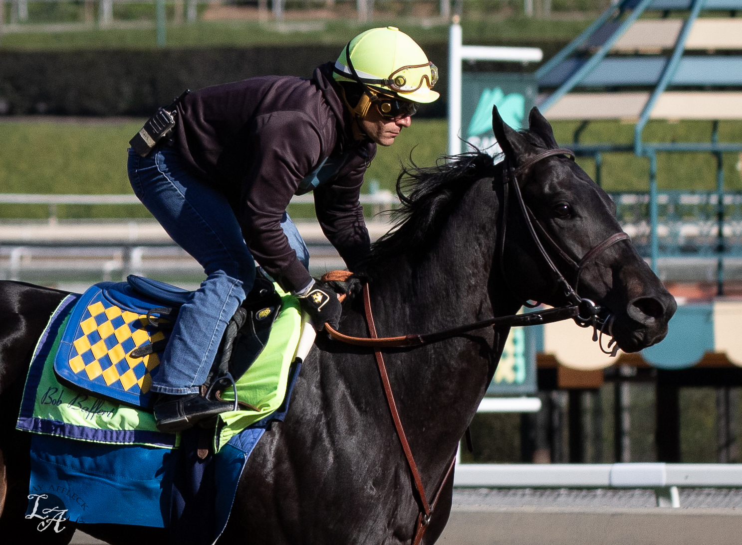 Santa Anita Park Preview & FREE Picks Malibu Stakes 2023