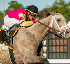 2023 Tampa Bay Derby Replay | Tapit Trice Overcomes Tough Break, Circles Field To Win Going Away