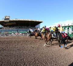 Racing Dudes Premium Picks HIT Nice Trifecta at Turf Paradise for $216.55 on $12 Ticket 12/27/24