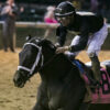 Instant Coffee Draws Post 2 | Louisiana Derby Favorite Is 1 Of 3 For Cox In Kentucky Derby Prep