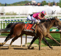 2023 Tesio Stakes Replay | Perform Wins Preakness Stakes Qualifier With Last-Second Move
