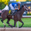 Angel Of Empire Attempting To Buck 132-Year Trend | 2023 Belmont Stakes News