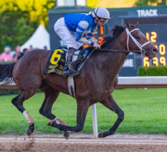 Angel Of Empire Attempting To Buck 132-Year Trend | 2023 Belmont Stakes News