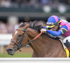 Keeneland Picks | Bewitch Stakes 2024