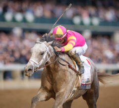 2023 Blue Grass Stakes Replay | Tapit Trice Overpowers Verifying; Top Kentucky Derby Contender?