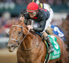 2023 Stephen Foster Stakes Preview & FREE Picks | Rattle N Roll Tops Breeders’ Cup Classic Prep At Ellis Park