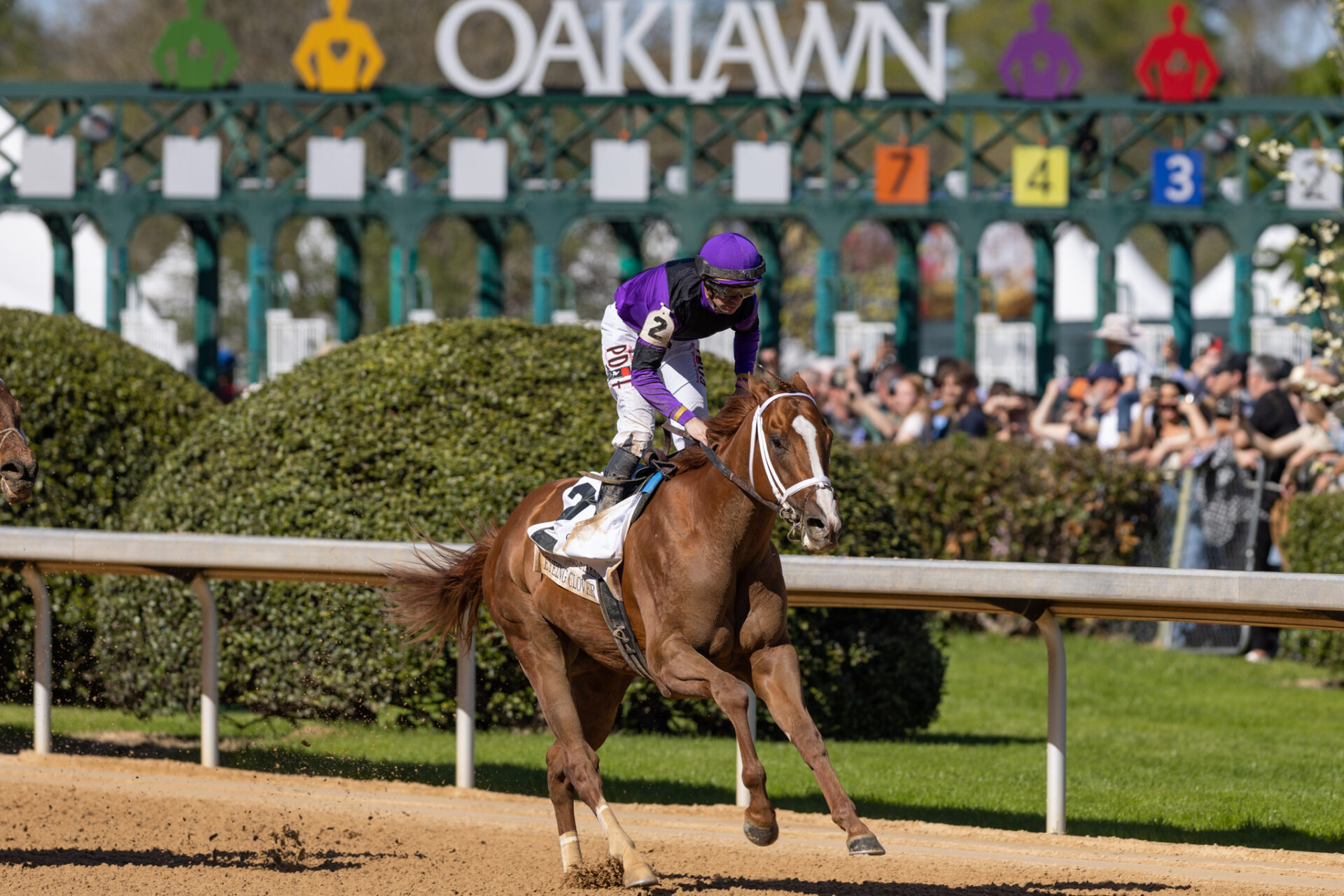 2023 Hot Springs Stakes Replay Eyeing Clover Much The Best In Return