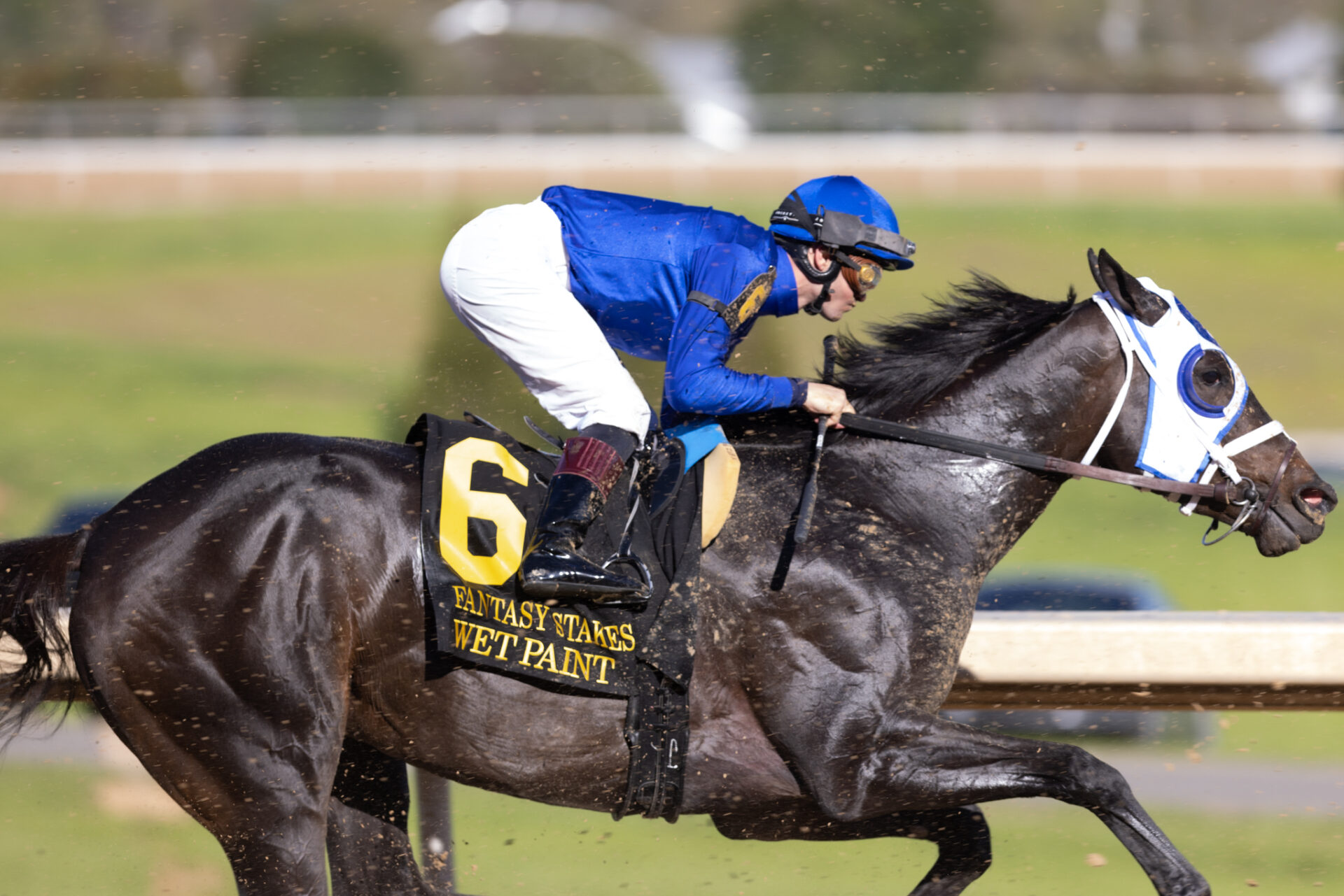 2023 Kentucky Oaks Top 5 Rankings 4/3/23 Wet Paint Completes Oaklawn