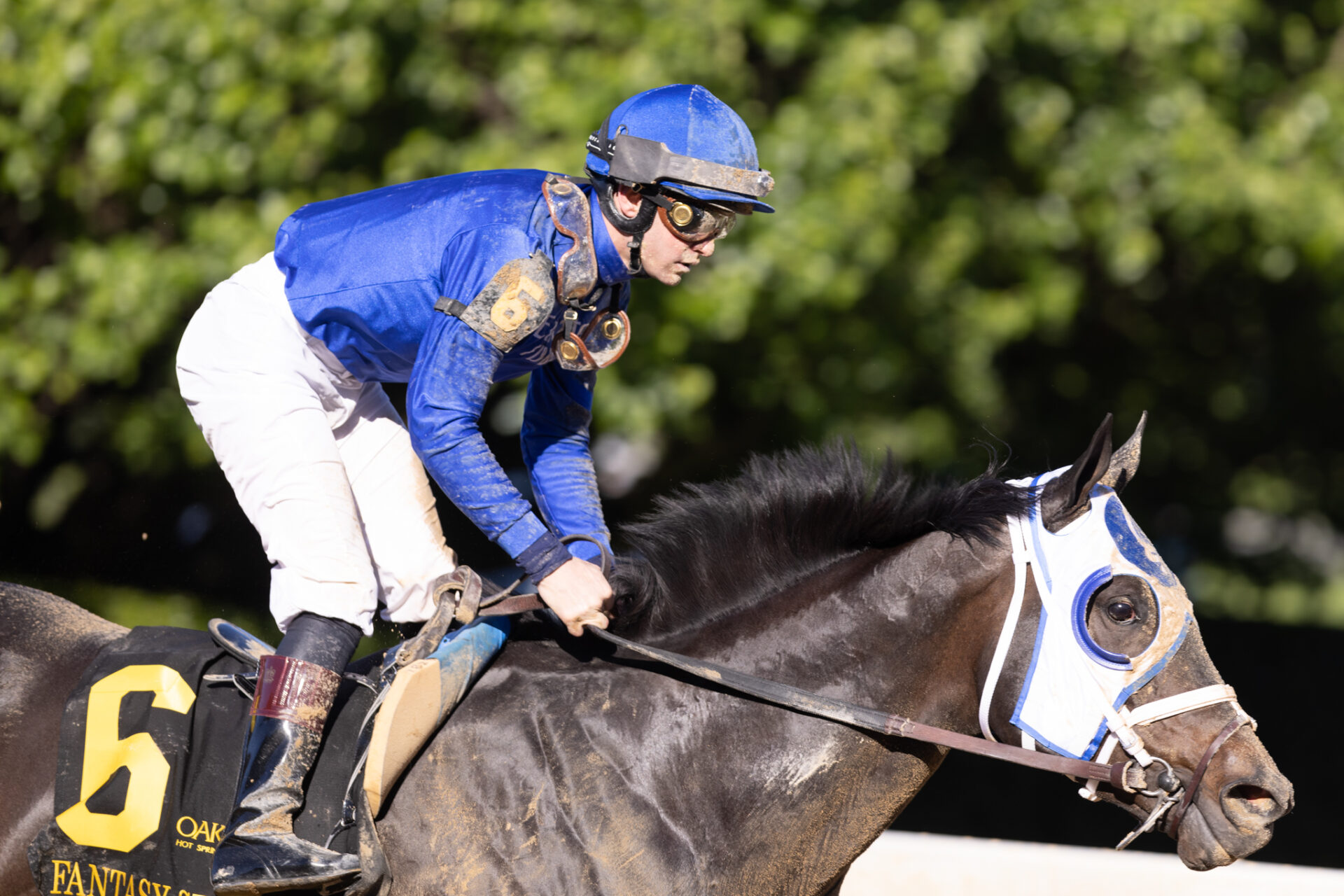 2023 Monomoy Girl Stakes Preview & FREE Picks Wet Paint Looks To