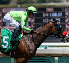 2023 Fleet Treat Stakes Preview | Ceiling Crusher Leads Seven In Del Mar Thursday Feature