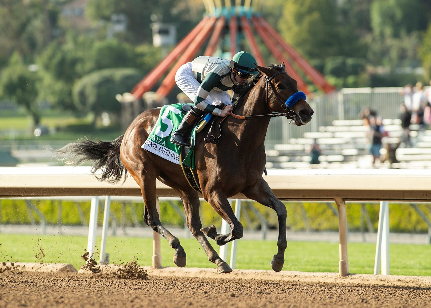 Picture of Santa Anita Oaks