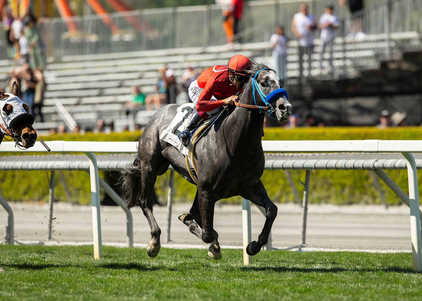 Del Mar Picks | Osunitas Stakes & Wickerr Stakes 2024