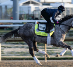 2023 Kentucky Derby Top 20 Rankings 4/24/23: Tapit Trice Tops Final List; Forte Close Behind
