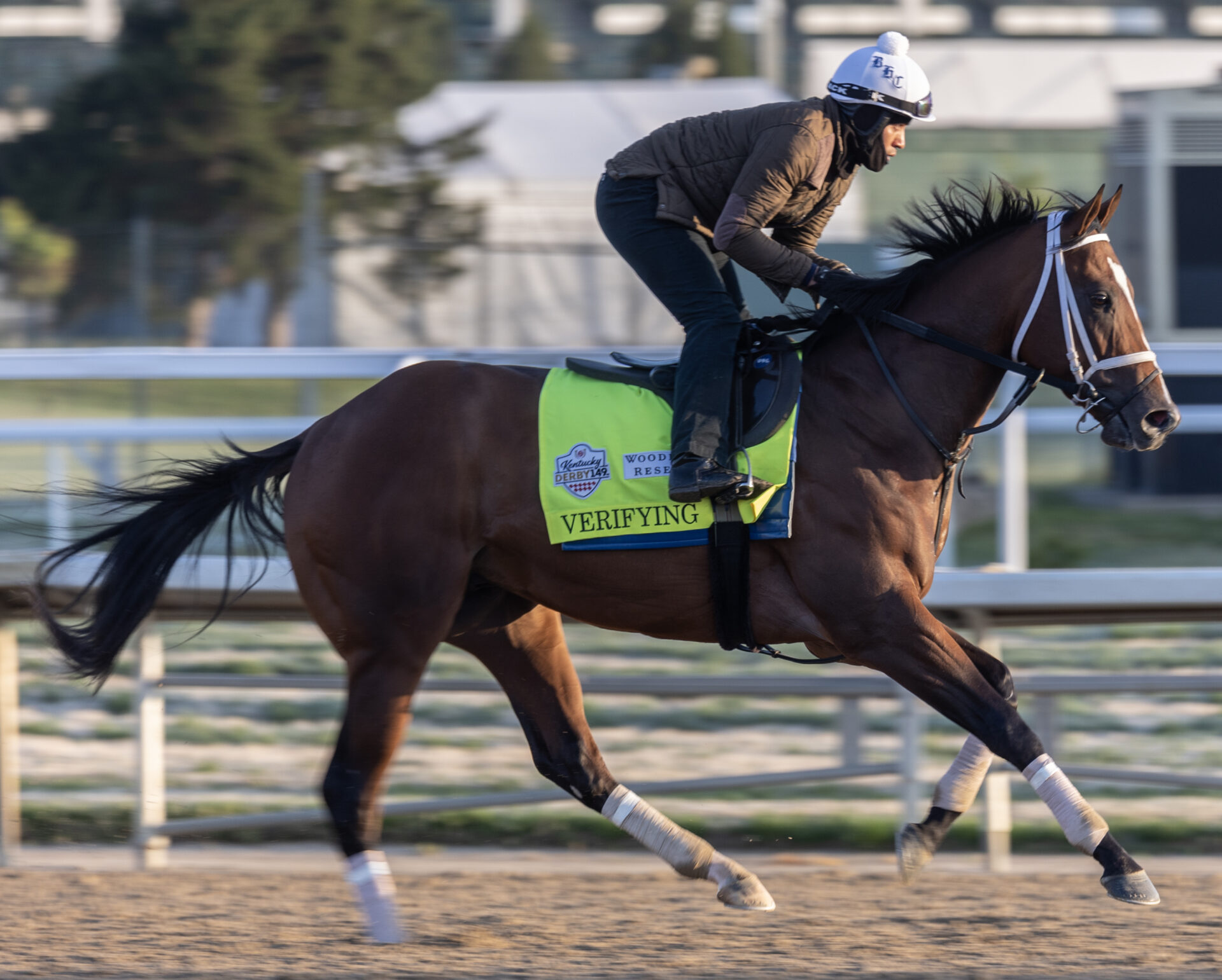 Can Verifying Live Up To Lofty Family Legacy At Churchill? 2023