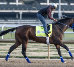 Sun Thunder Looks For 2nd Career Win In Ultra-Tough Race | 2023 Kentucky Derby Contender Profile