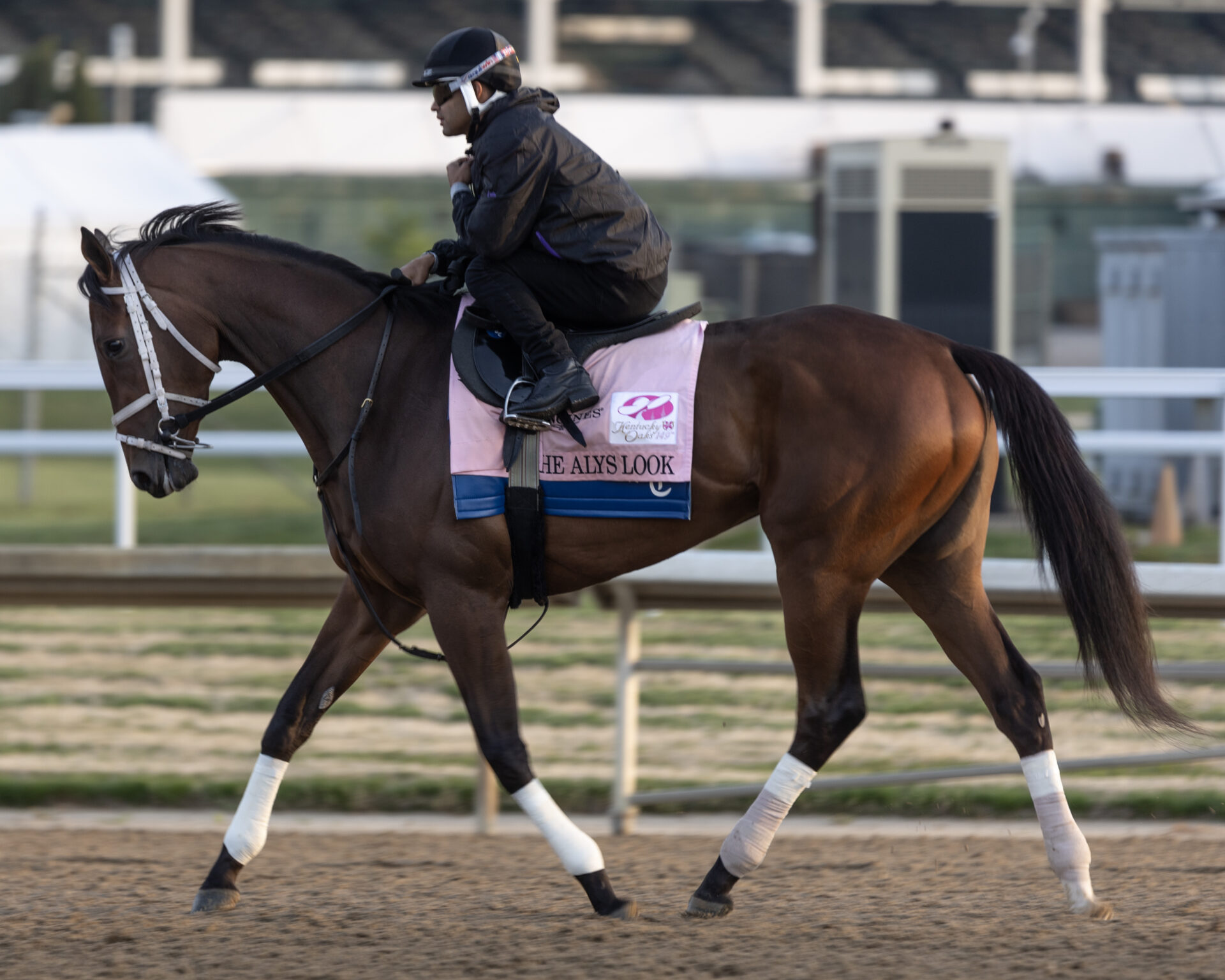 Santa Anita Picks Ultimatecapper - wn2omoc