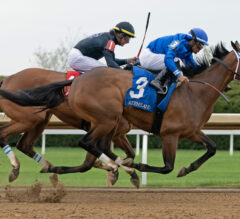 Aqueduct Preview | Ladies Stakes 2024