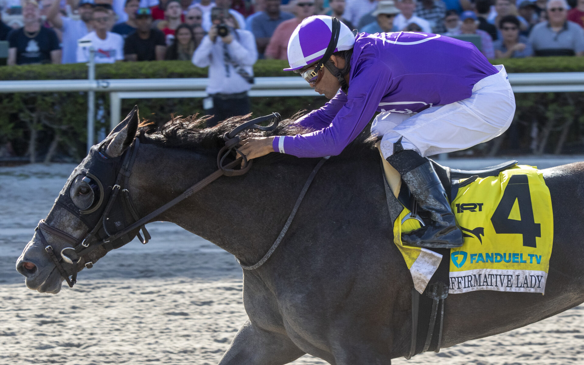 2023 Gulfstream Park Oaks Replay Affirmative Lady Steps Up Stylishly