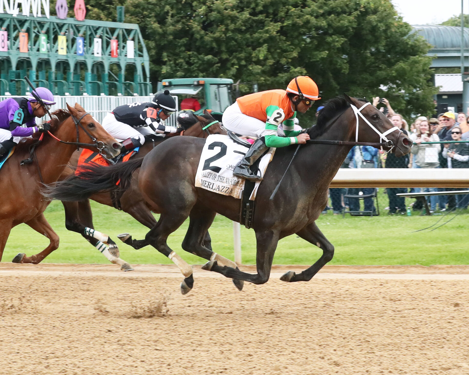 Yhkkevin Cox Picks Today 58 - o55pehd