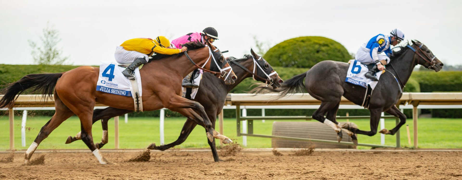 2023 Kentucky Oaks Top 5 Rankings 4/10/23 Defining Purpose, Promiseher