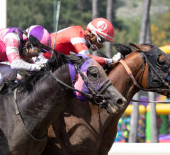 2023 Santa Anita Derby Replay | Practical Move Holds Off Mandarin Hero, Skinner In Thrilling Finish
