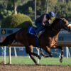 2023 Affirmed Stakes Preview & FREE Picks | Skinner, Geaux Rocket Ride Face Off Sunday At Santa Anita