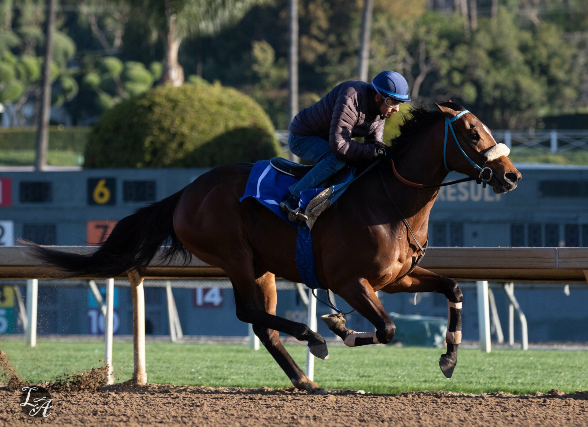 Skinner Has The Consistency & Pedigree To Succeed; Will He? 2023 Kentucky Derby Contender