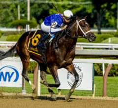 2023 Bachelor Stakes Preview & FREE Picks | Is Mo Strike Ready To Race After Long Layoff?