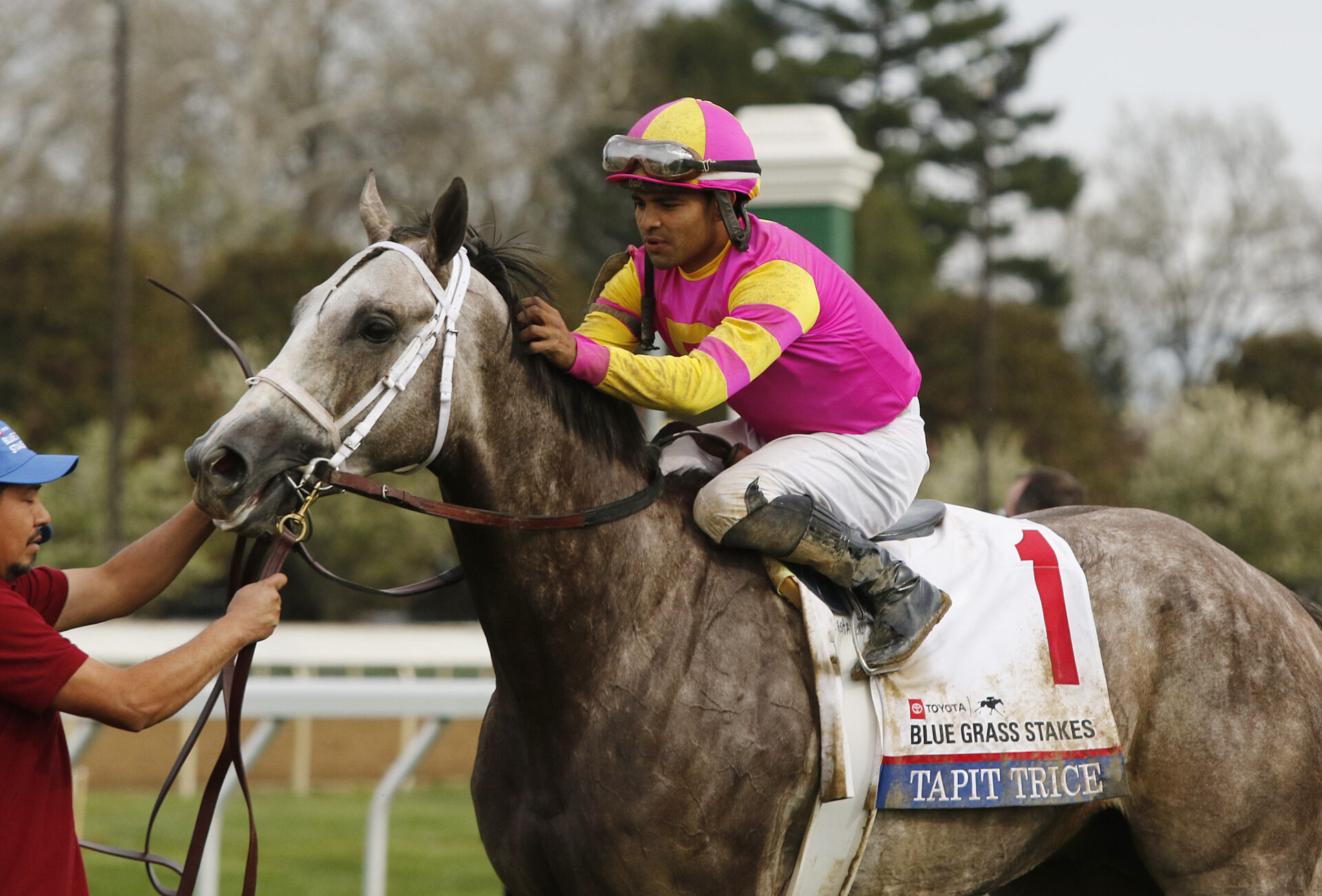 2023 Haskell Stakes Preview & FREE Picks Tapit Trice Looks To Get