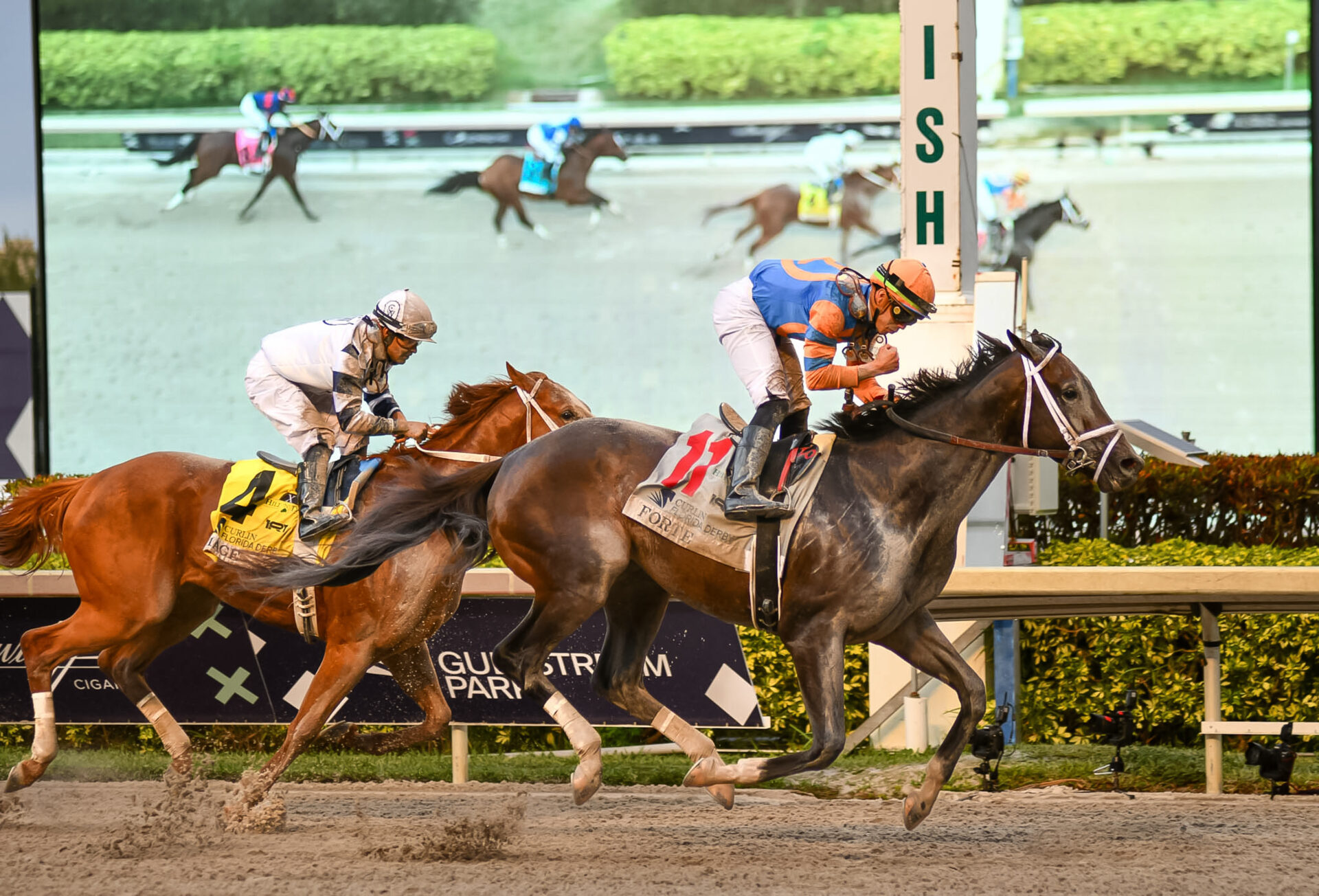2023 Florida Derby Replay | Forte Romps To Stamp Kentucky Derby Favoritism