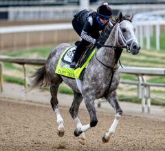 Tapit Trice Streaks Into Churchill For Pletcher, Saez | 2023 Kentucky Derby Contender Profile