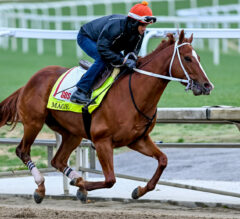 Mage’s Status Likely To Be Decided Friday, May 12 | 2023 Preakness Stakes News