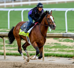 Cyclone Mischief Has Solid Florida Form But Needs Defections | 2023 Kentucky Derby Contender Profile