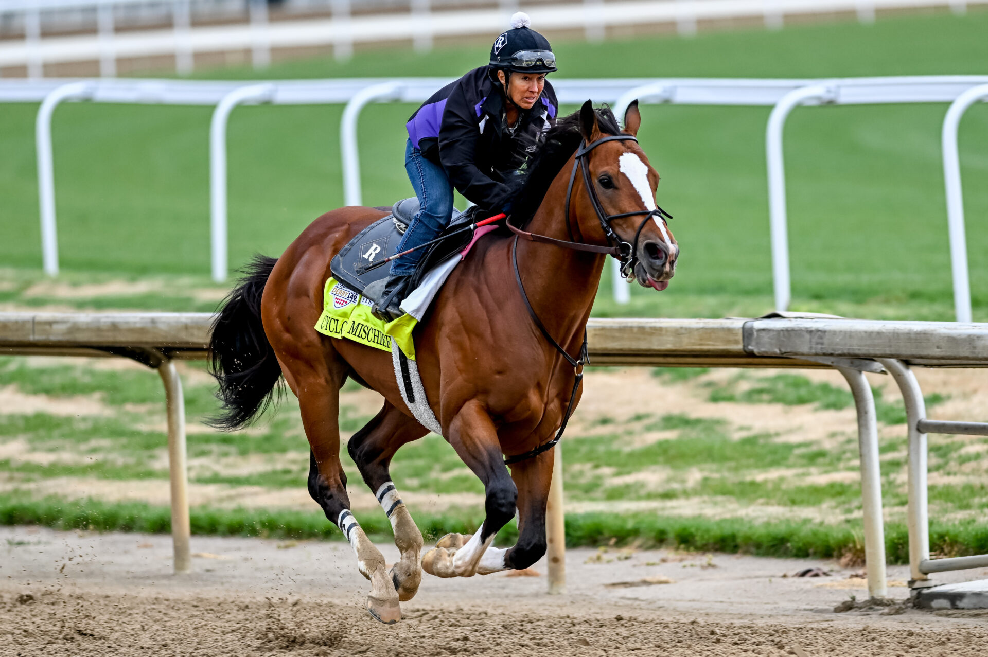 Cyclone Mischief Has Solid Florida Form But Needs Defections | 2023  Kentucky Derby Contender Profile - Racing Dudes