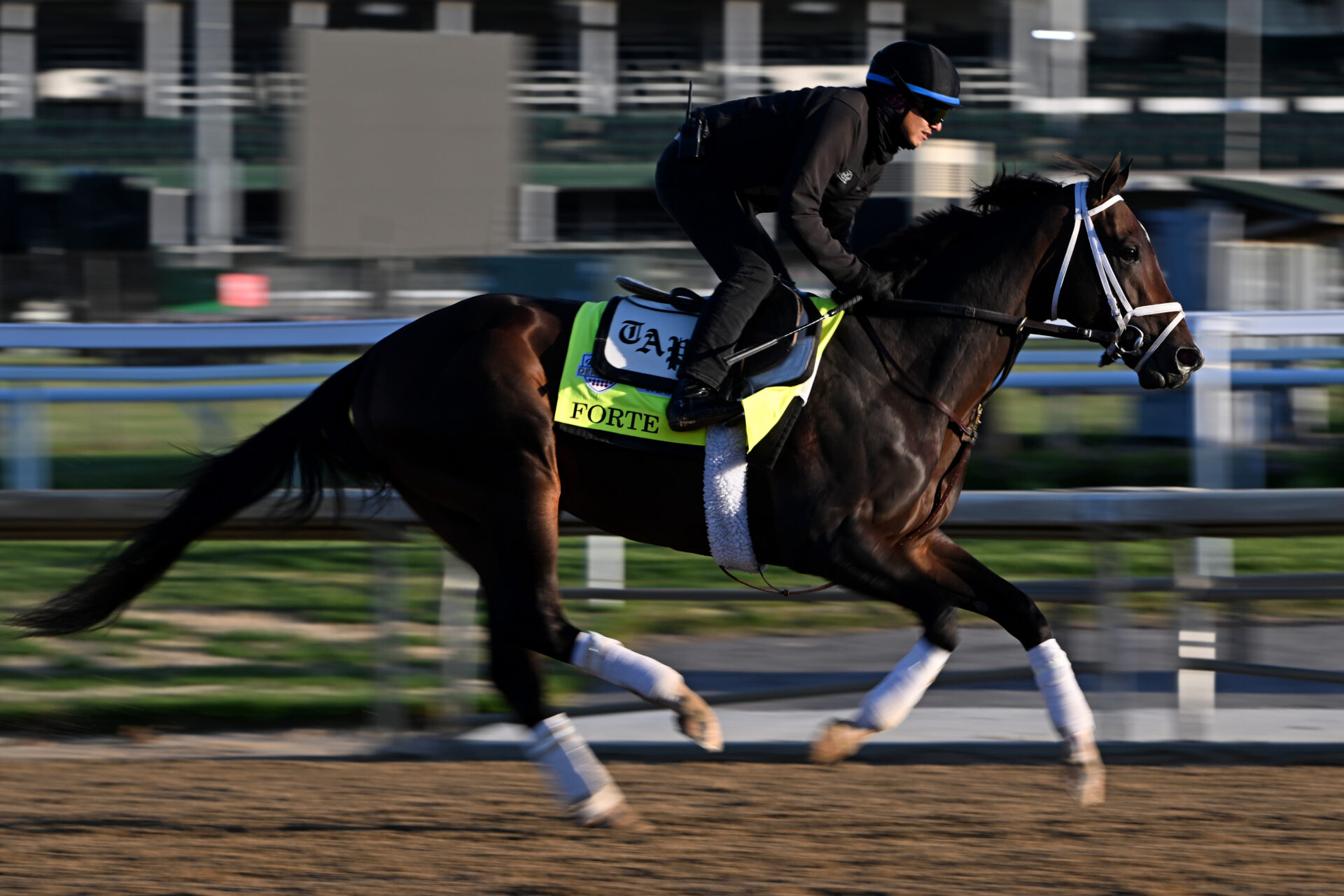 Todd Pletcher ‘Seeking Some More Clarity’ On Forte’s Status | 2023 ...